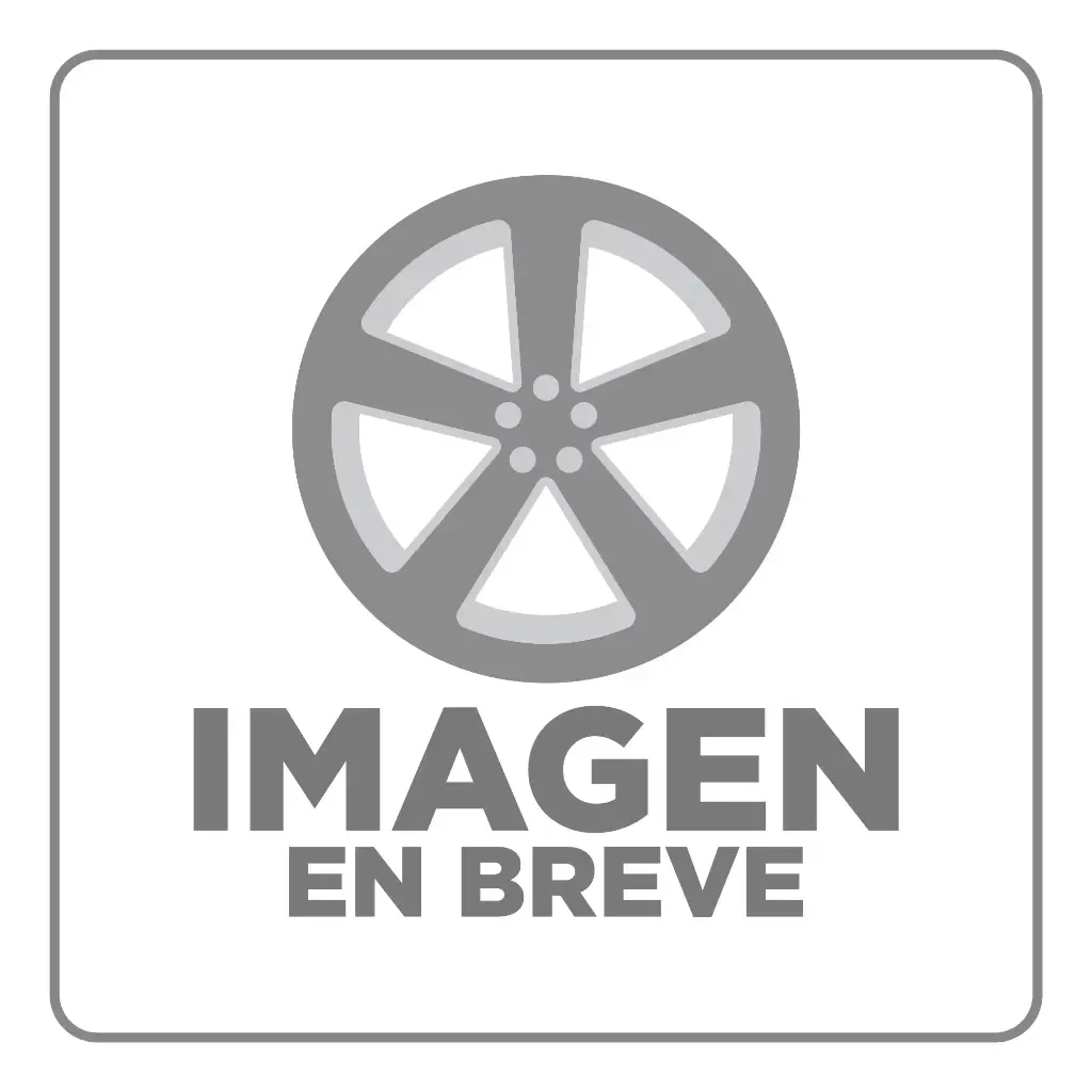 RIN 15X6.5 4-100 R1 SPORT HXX057B BMF MILLING SPOKE FACE WINDOW ET35 CB73.1